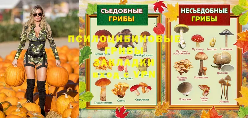 Галлюциногенные грибы Magic Shrooms  Кызыл 